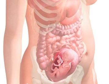 孕妈内分泌失调谨防胎死腹中！引起胎停育的原因都有哪些