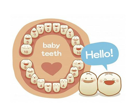 宝宝乳牙有多少颗 22颗正常吗