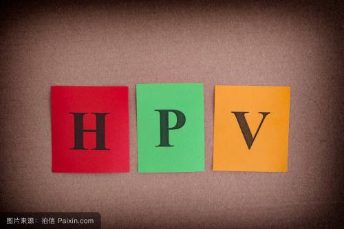 记录我对抗HPV的心路历程