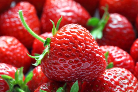 草莓的功效与作用,这五个吃草莓的营养价值和好处
