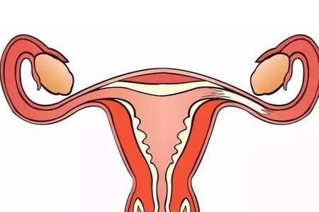 输卵管造影会痛的两个常见原因