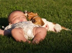 【宠物安全】宠物对孩子的影响_养宠物的注意事项