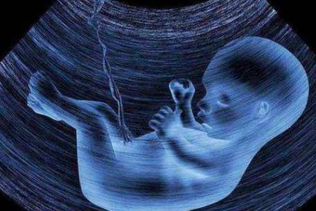 孕中期食谱大全孕中期吃什么对胎儿智力发育好